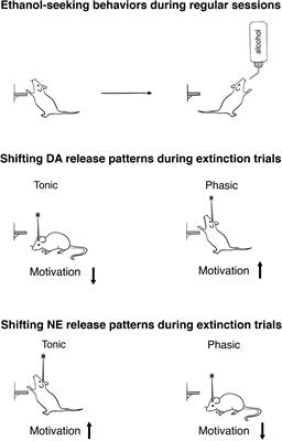 Linking Ethanol-Addictive Behaviors With Brain Catecholamines: Release Pattern Matters